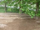 Kvalitní ornice na Havlíčkobrodsku mizí v příkopu. Škoda nevzniká jen ztrátou cenné půdy, ale i nutností příkop vyčistit.
