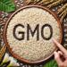 GMO