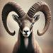 Muflon